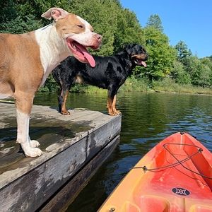 Meet your Posher, Erica